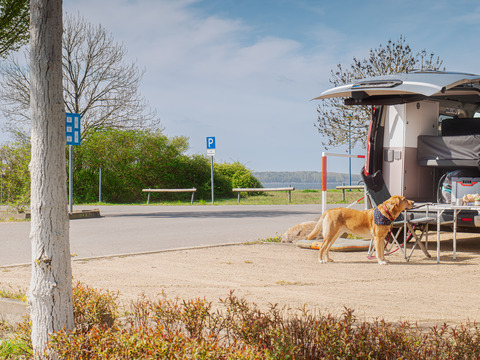 Urlaub mit Hund am Seestrand Buchwalde, Foto: Rico Schwarze - Glücksfoto GbR